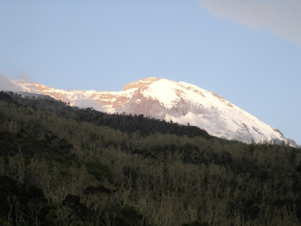 Kilimanjaro_020.jpg