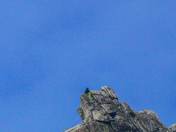 Prussic_Peak_Climbers-3.jpg