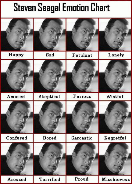 Steven_Seagal_Emotion_Chart.jpg