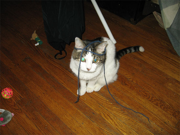 latteresize-10.jpg