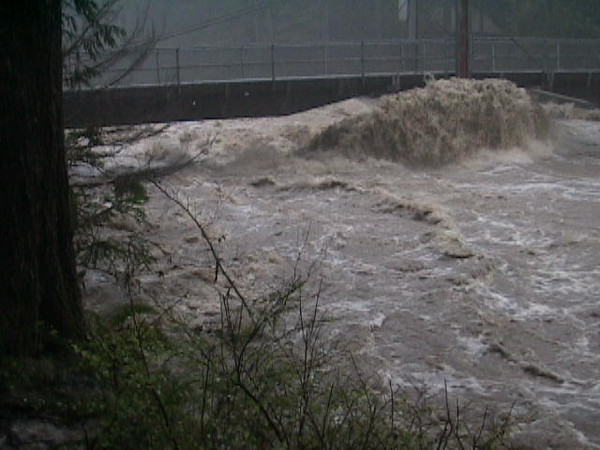 nov8-06bridge.JPG