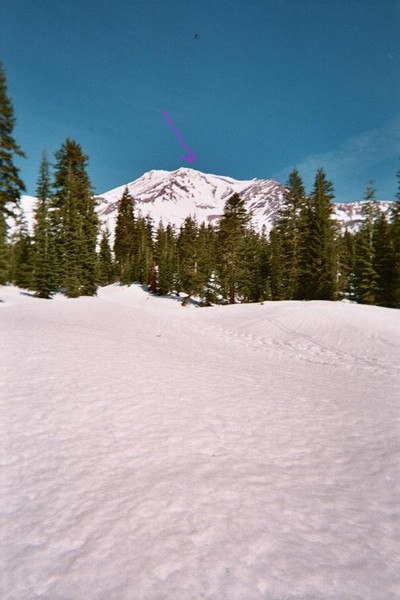 shasta1.JPG