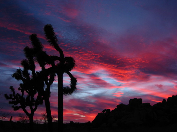 sunset11.jpg