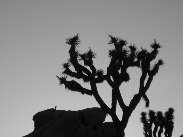 sunset_climber_1.jpg