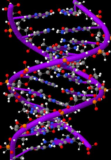 origin-of-life-self-replicating-RNA.jpg