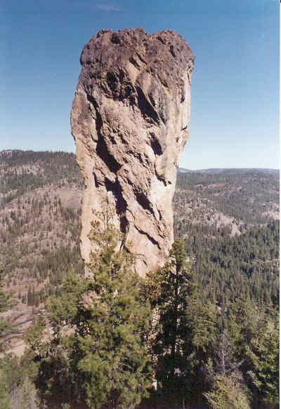 steins_pillar_close_up.jpg