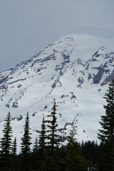 2591rainier_summit.jpg