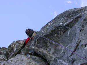298DSCN6782-med.JPG
