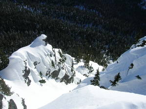 3146S_Gully_2-19-06_41_-med.jpg