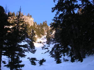3146S_Gully_2-19-06_7_-med.jpg