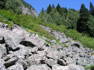 339P1010018-med.JPG