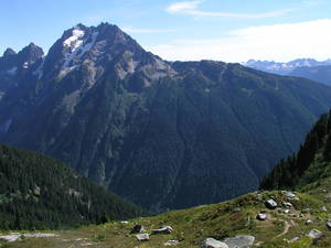 339P1010031-med.JPG