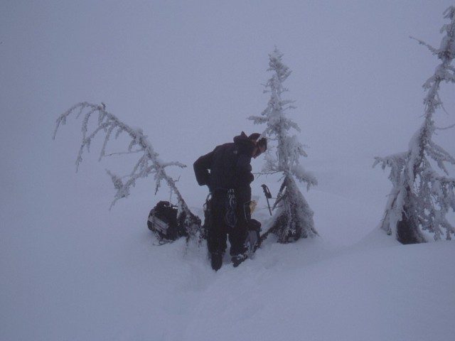 455Glacier_Peak_Treeline.jpg