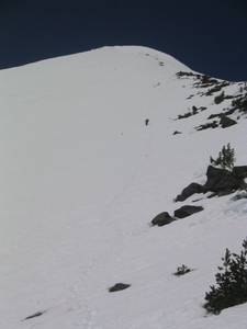 6091McLoughlin_-_spring_2006_015-med.jpg
