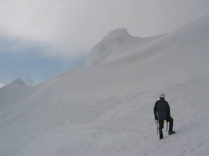 8990IMG_0022-med.jpg