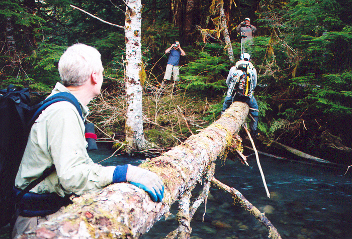 945Big_Bear_log_crossing.jpg