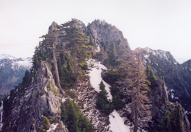 945Frostbite_W_Ridge_II_.jpg