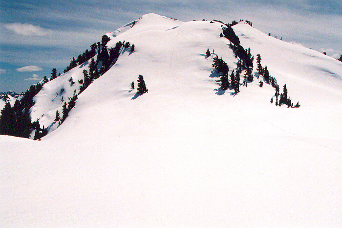 945Lawson_summit_area.jpg