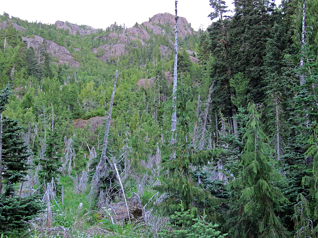 Mt_Washington_-_SE_Buttress_10_-_descent_2.jpg