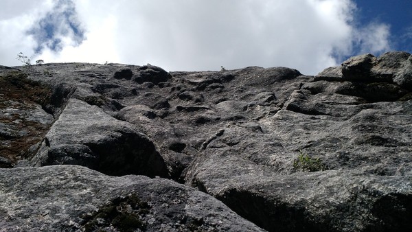 IMG_20160520_105214872_Large_.jpg