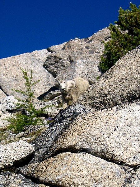 Prusik_Peak_2005-07-23_at_17-14-45.jpg