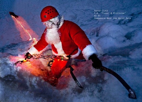 2319Xmas_card_2008-med.jpg