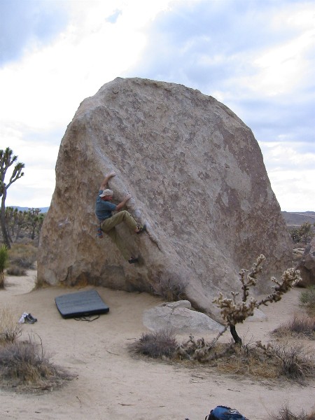 3712jtreebouldering.jpg