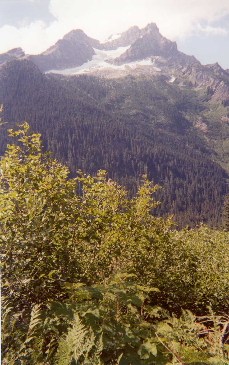 2010BuckMtn1.jpg