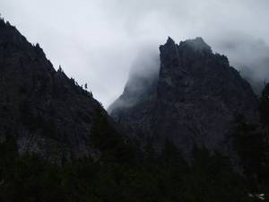 3050P1010082-med.JPG