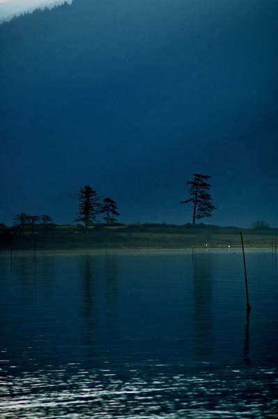 3256Lummi_035small-med.jpg