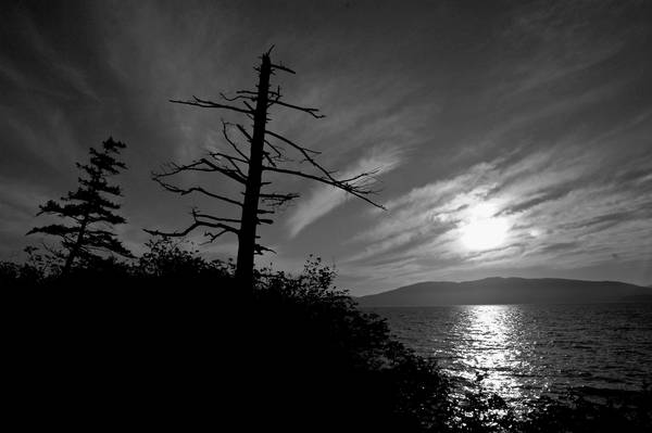 3256marinebwsmall-med.jpg