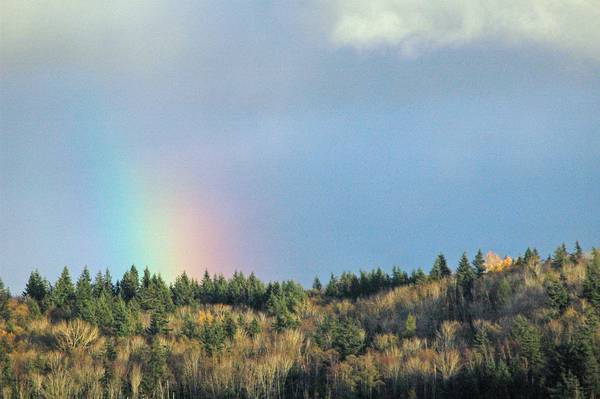 3256rainboweditsmall-med.jpg