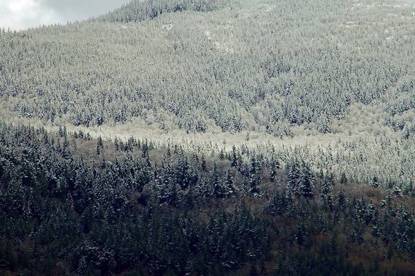 3256snow007editsmall-med.jpg
