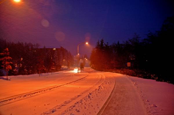 3256snowy_004small-med.jpg