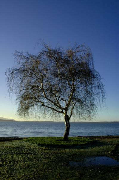 3256sunday_022editsmall-med.jpg