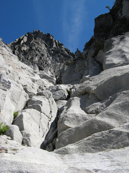 IMG_0620.jpg
