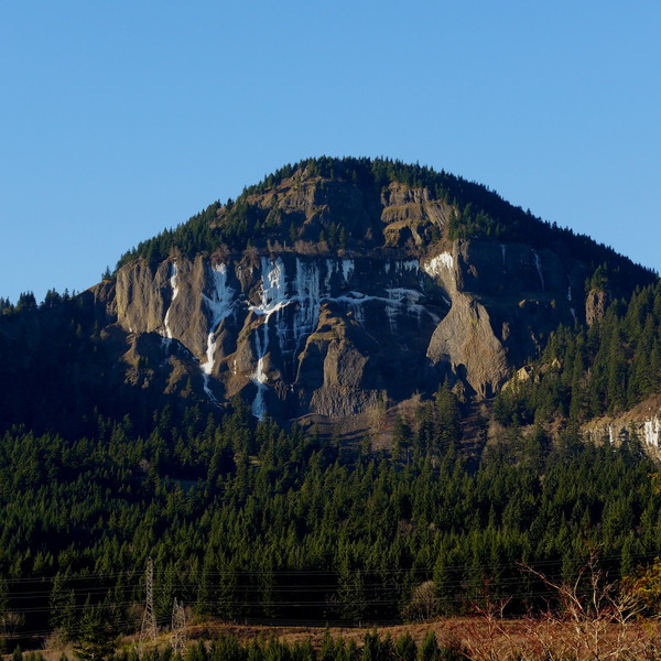 P1010393_1_.JPG