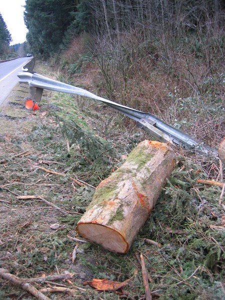 skiing-storm005.jpg