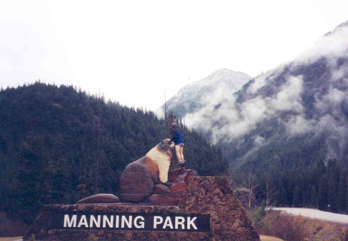 136marmot_bj.jpg