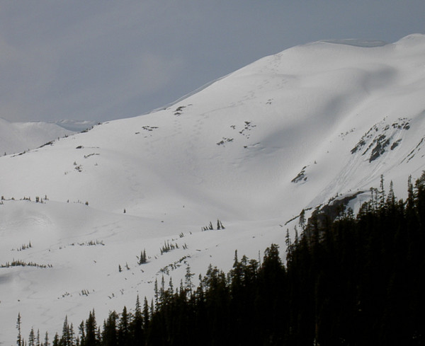 cayoosh4.jpg