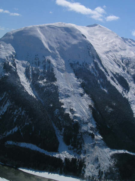 terraceavi.jpg