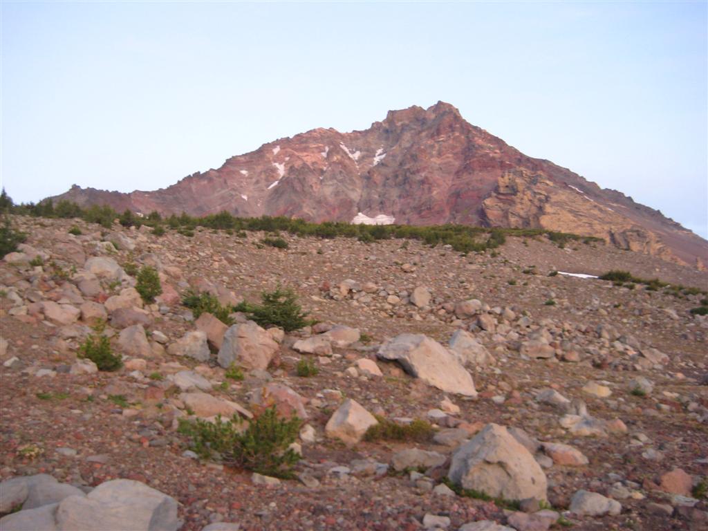 IMG_1573_Large_.JPG