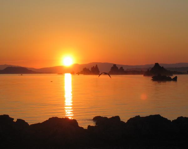 4357Mono_Lake_032_small.jpg