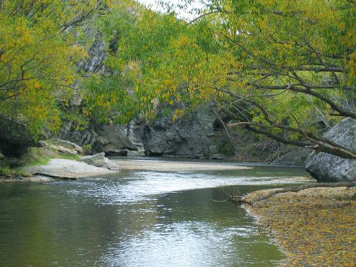 4427Wanaka_059.jpg