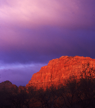 870Zion_Landscape.jpg