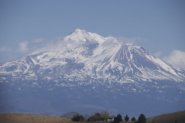 Shasta_-_001.jpg