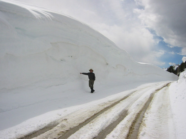 snowbank_snow.JPG