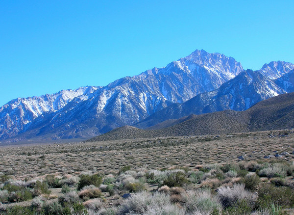 williamson0039.JPG