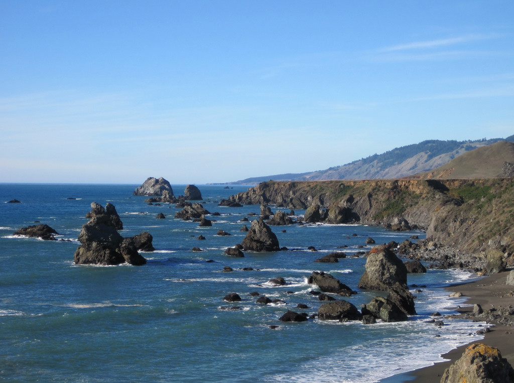 Salt Point