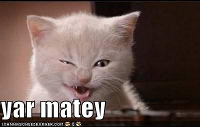 funny-pictures-pirate-kitten.jpg
